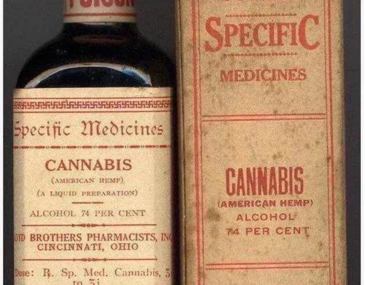 CBD Oil History